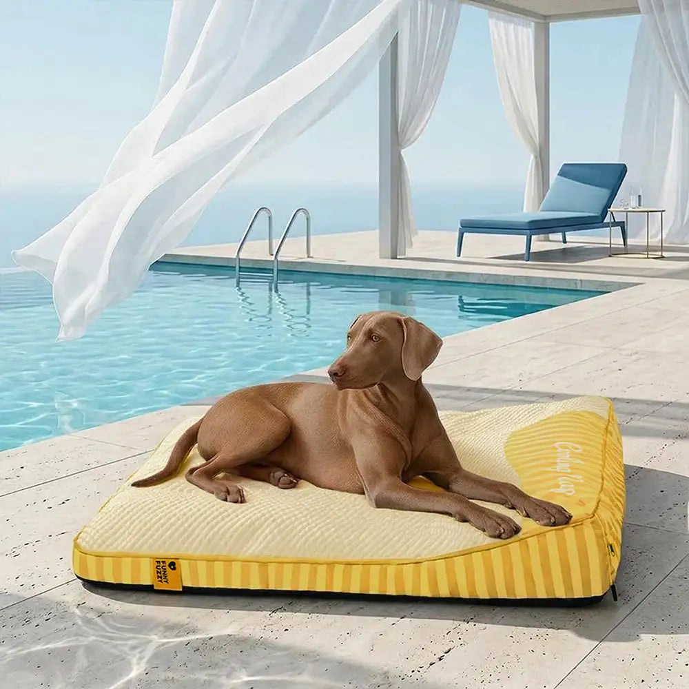 Extra Large Cooling Washable Rectangle Orthopedic Outdoor Dog Bed