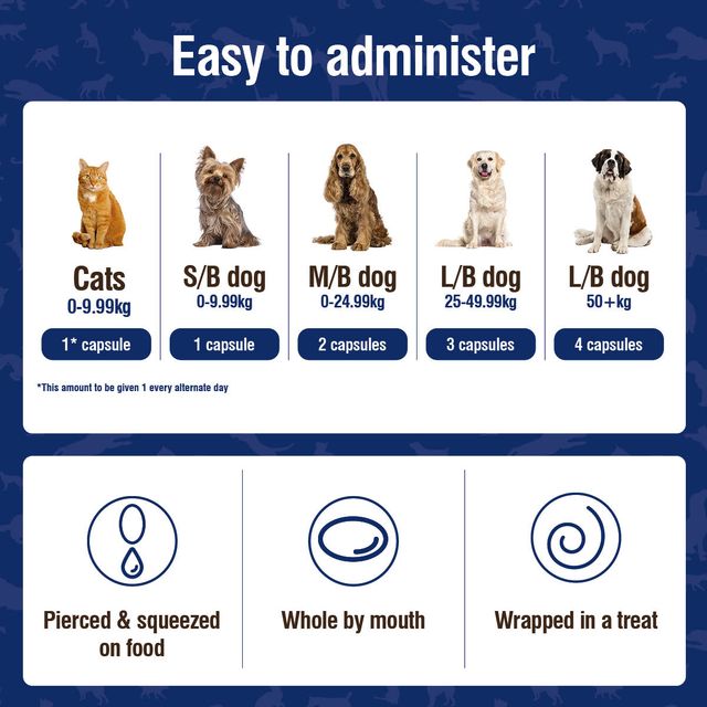 Nutramind (Brain Health Supplement for Dogs & Cats) 45 caps