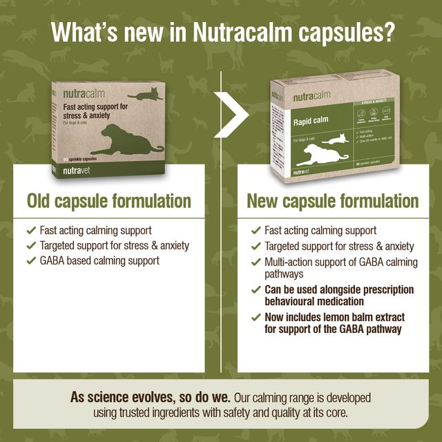 Nutravet - Nutracalm (Stress & Anxiety Supplements for Dogs & Cats) 15 caps