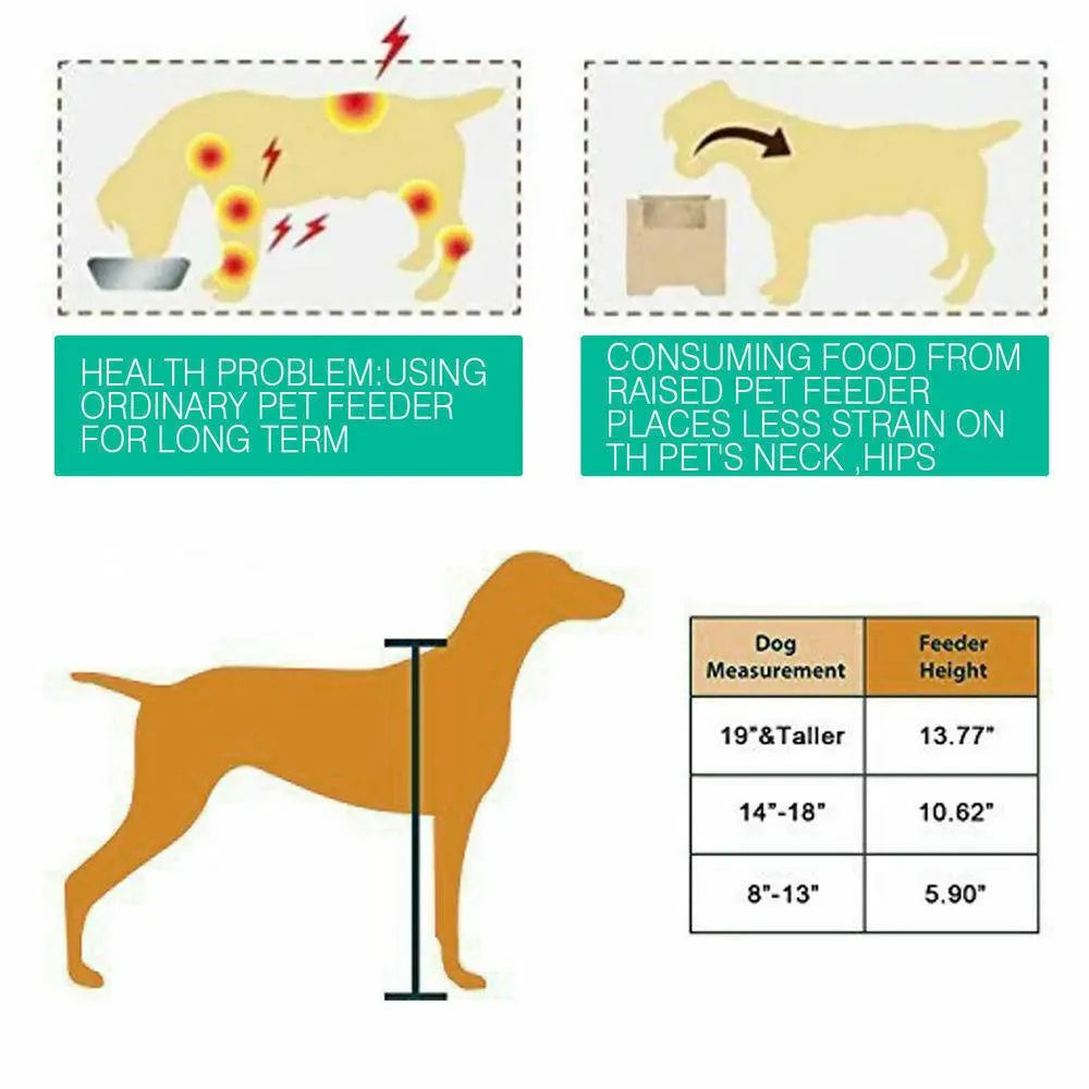Dual Elevated Raised Pet Feeder
