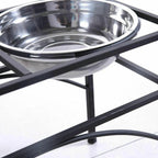 Dual Elevated Raised Pet Feeder