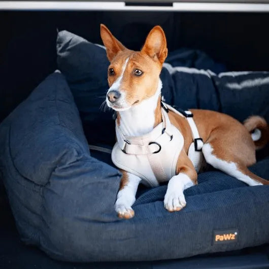 Dog Car Booster Seat