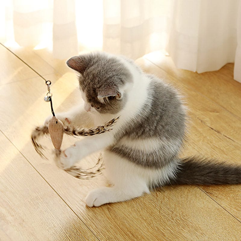 🐱BUY 2 FREE SHIPPING❤️Interactive Bird Simulation Cat Toy Set