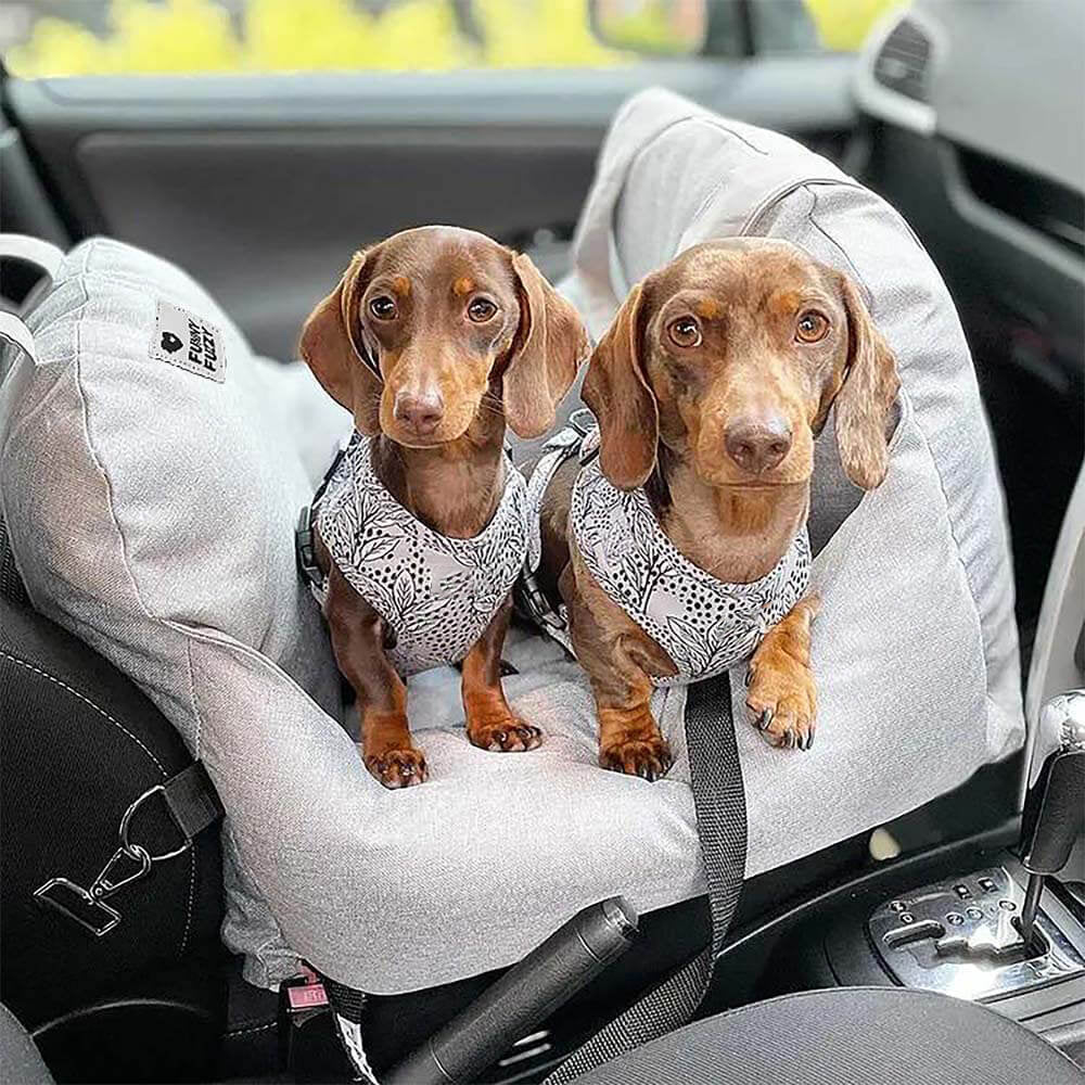 ISOFIX Dog Car Seat Bed with LATCH System - First Class