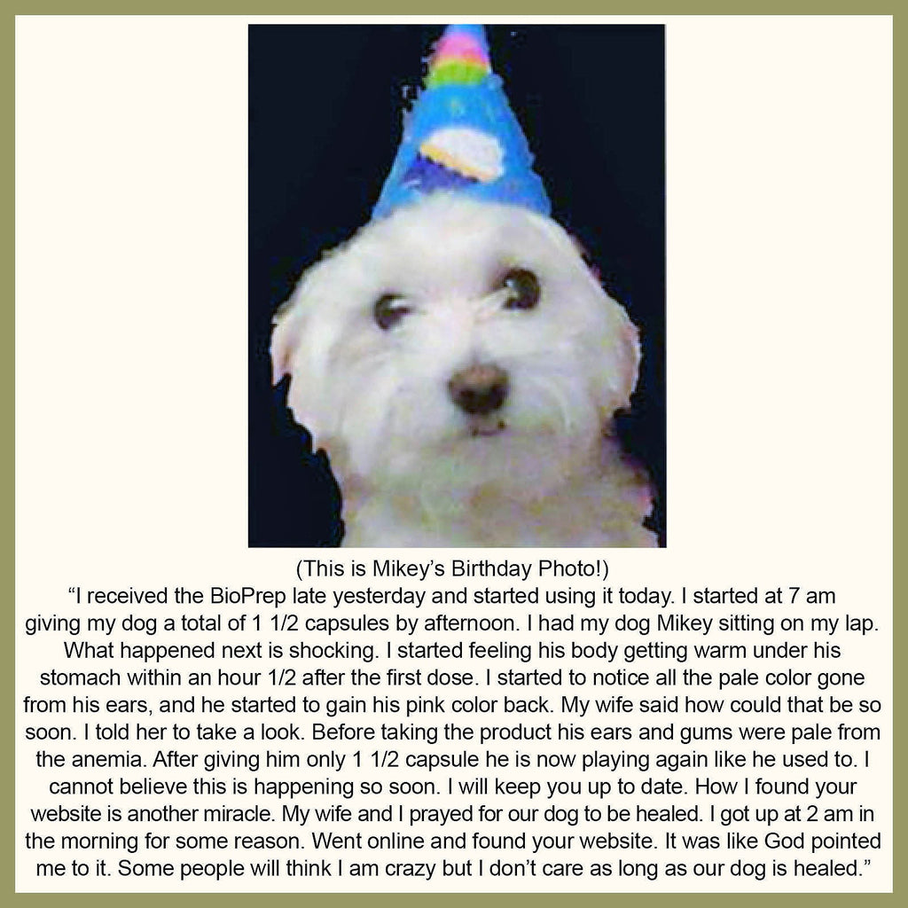 BioPreparation F2 F3 for Dogs and Cats