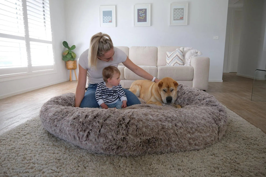 The Human Size Nap Bed
