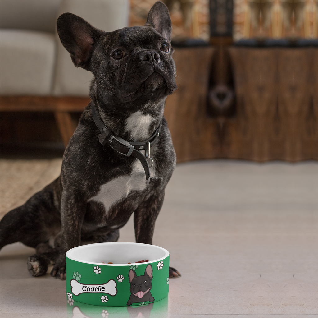 Colorful Bowl - Personalized Ceramic Pet Bowl