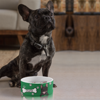Colorful Bowl - Personalized Ceramic Pet Bowl