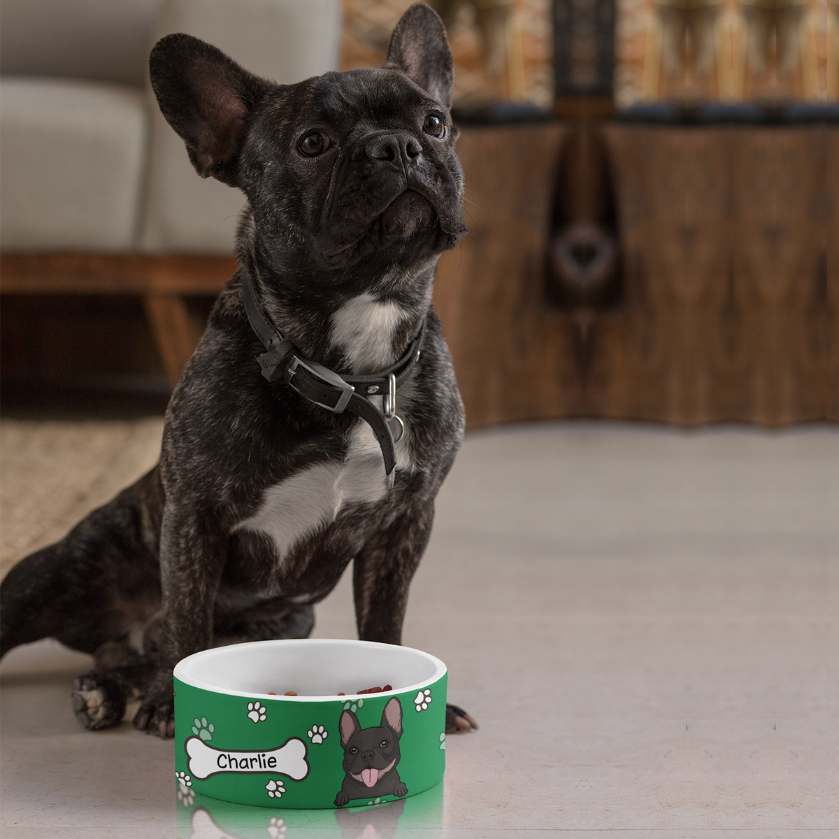 Colorful Bowl - Personalized Ceramic Pet Bowl