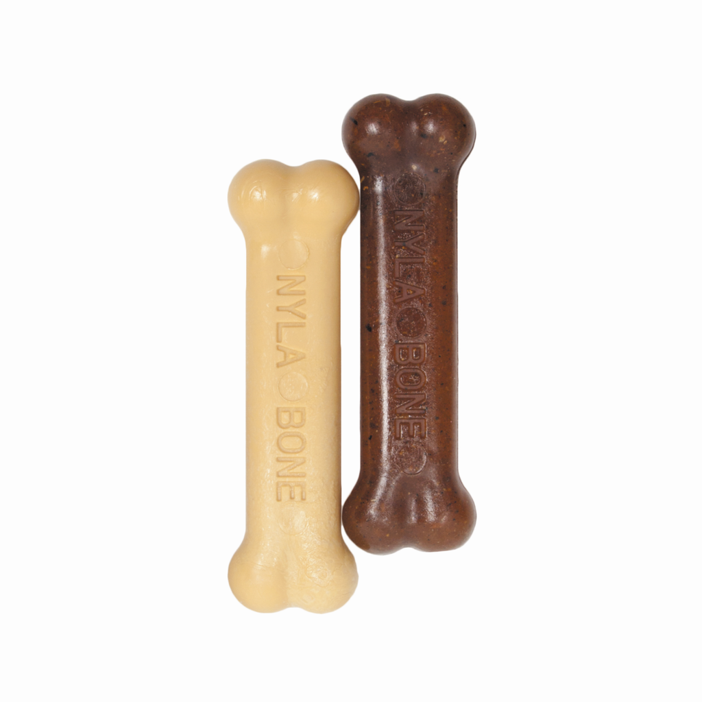 Nylabone Teething Puppy Chew Toy Twin Pack Chicken & Peanut Butter Flavor