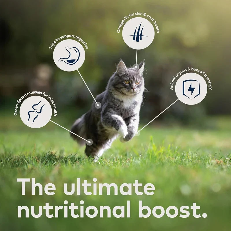 ZiwiPeak Moist Cat Food - Lamb Recipe