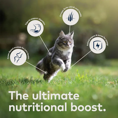 ZiwiPeak Moist Cat Food - Lamb Recipe