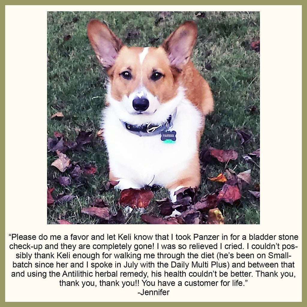 Bladder Support for Dogs and Cats
