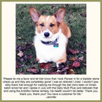 Bladder Support for Dogs and Cats