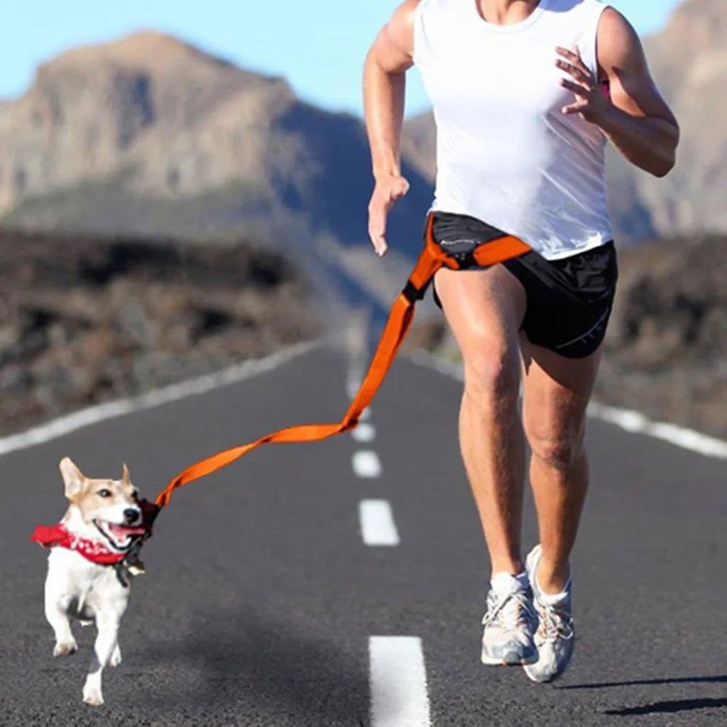 Adjustable Dog Hands Free Leash Waist Belt