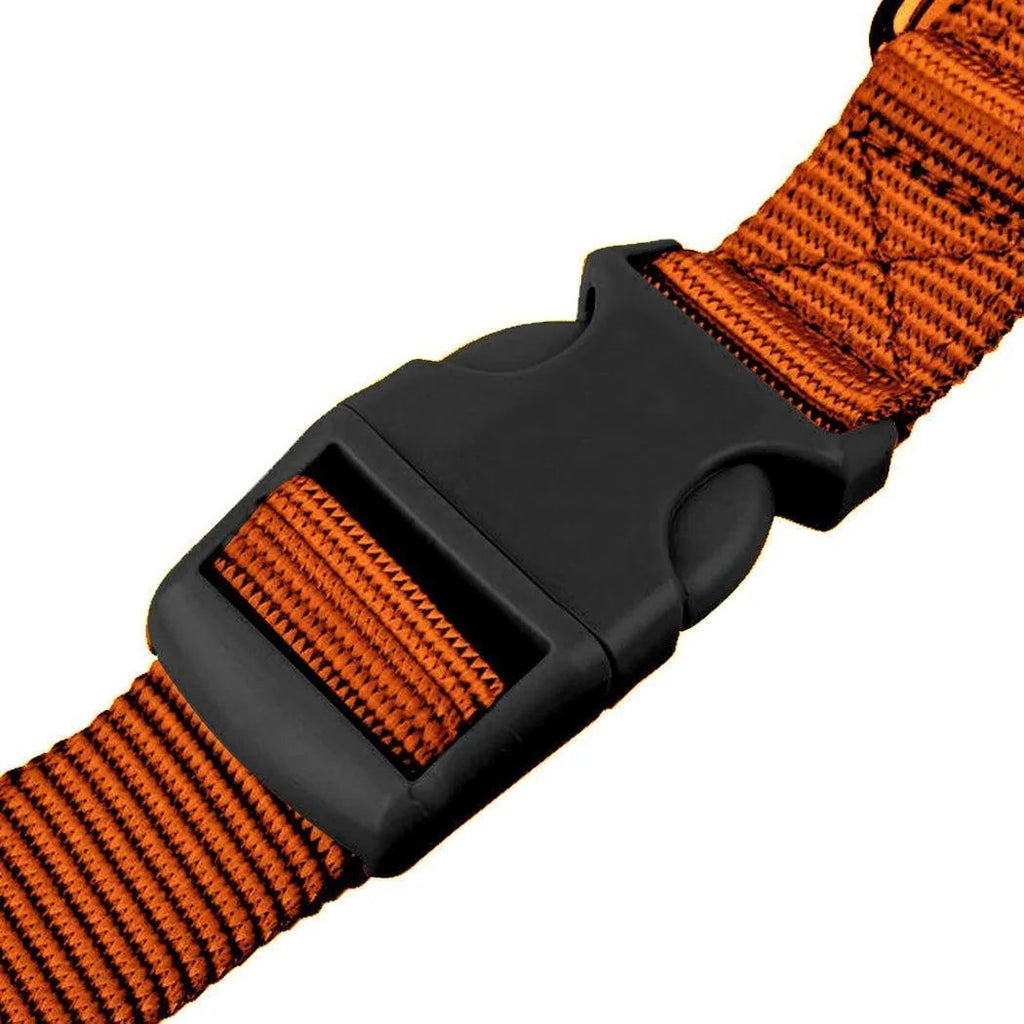 Adjustable Dog Hands Free Leash Waist Belt