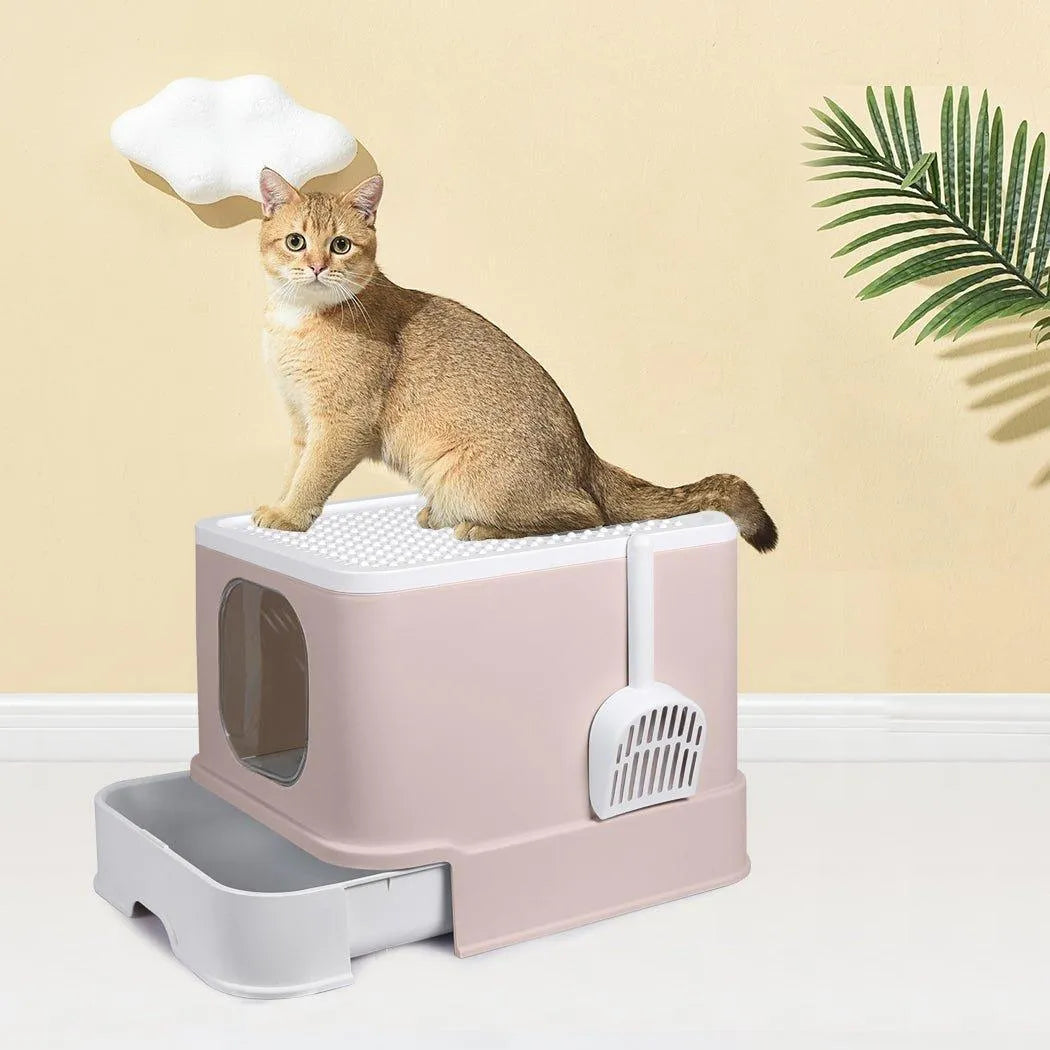 Cat Litter Box