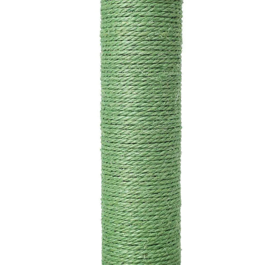 Cat Scratcher Post Cactus