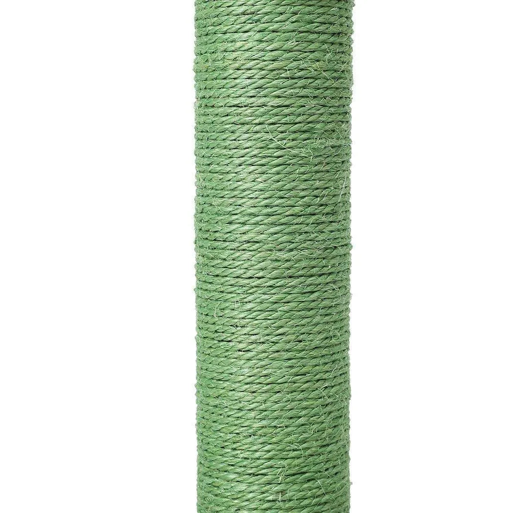 Cat Scratcher Post Cactus
