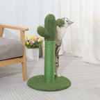 Cat Scratcher Post Cactus