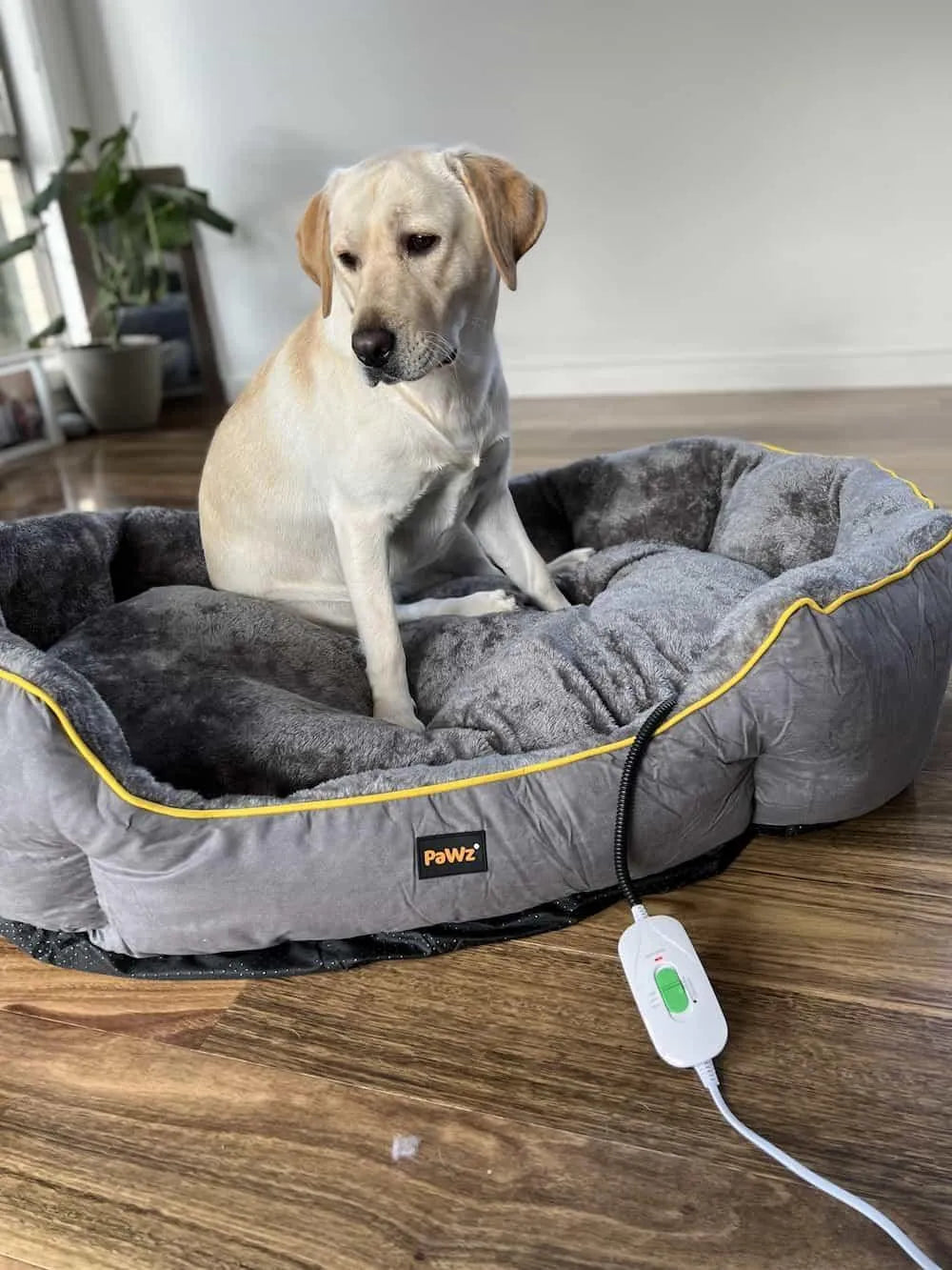 Electric Pet Heater Bed Thermal Protection