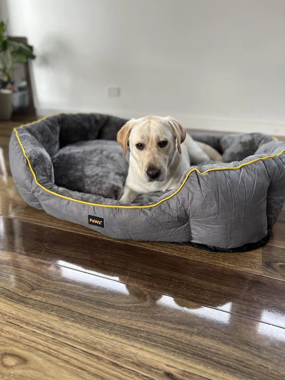 Electric Pet Heater Bed Thermal Protection