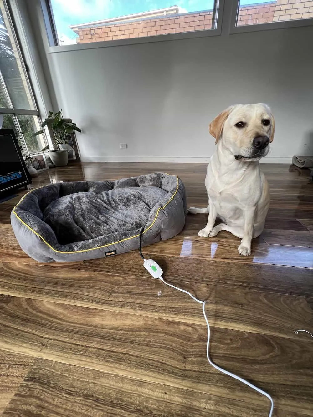 Electric Pet Heater Bed Thermal Protection