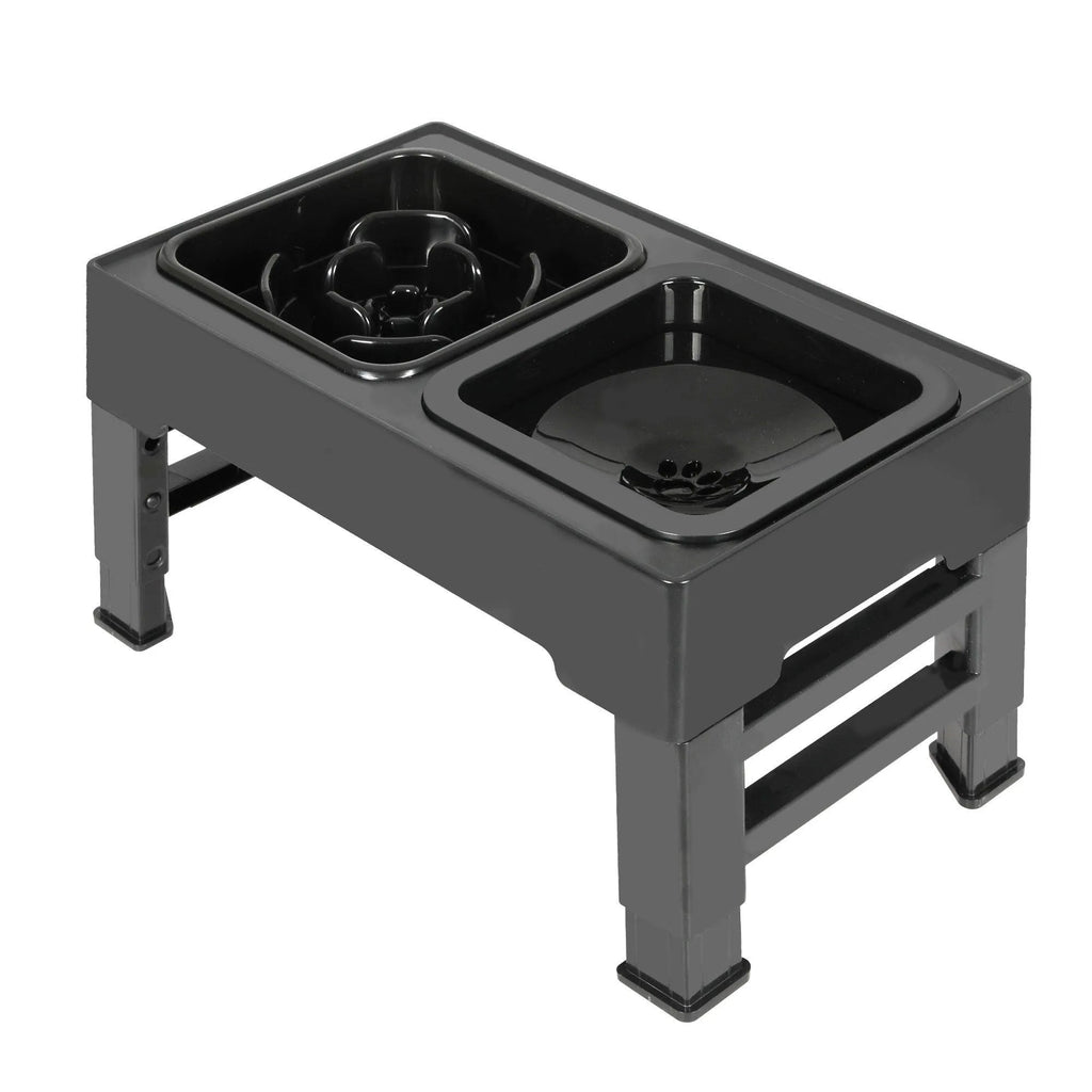 Raised Pet Feeder with No-Spill Slow Feeder Bowl