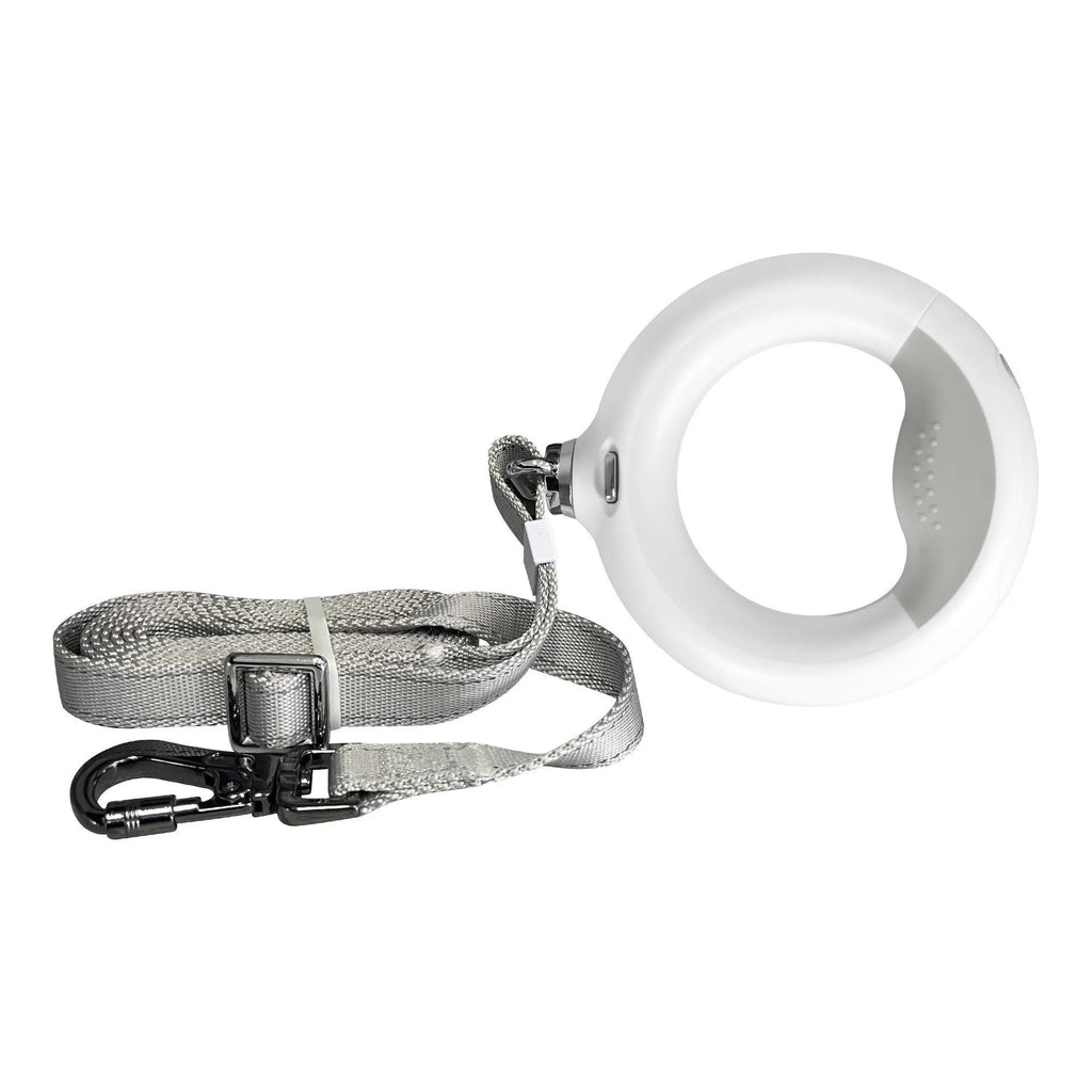 LED Dog Leash