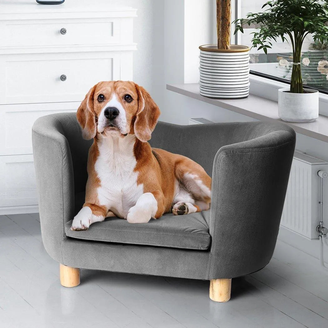Luxury Elevated Sofa