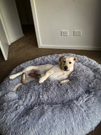 Calming Pet Bed Machine Washable