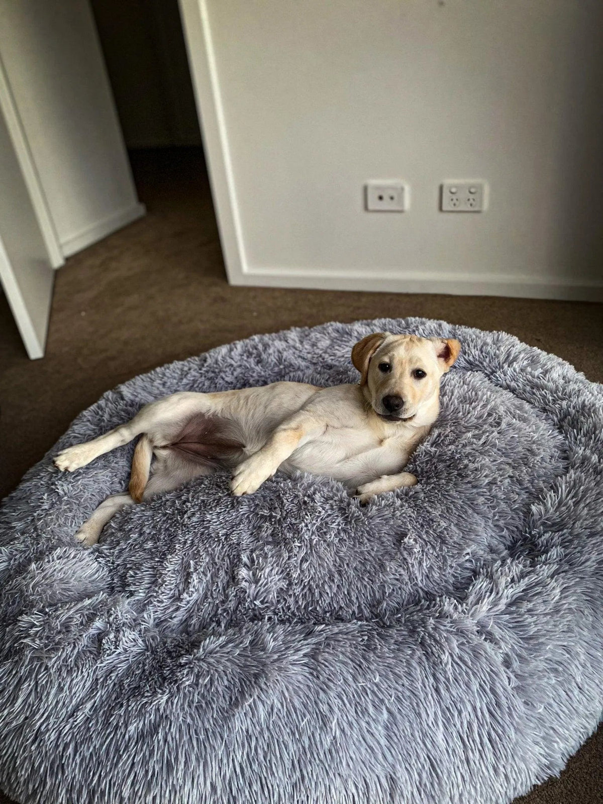 Calming Pet Bed Machine Washable