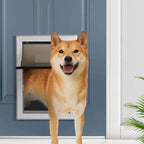 Pet Access Door