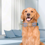 Pet AirTag Bluetooth Collar