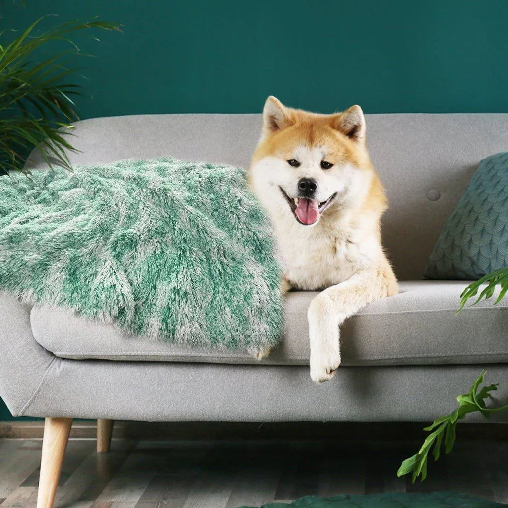 Pet Calming Blanket