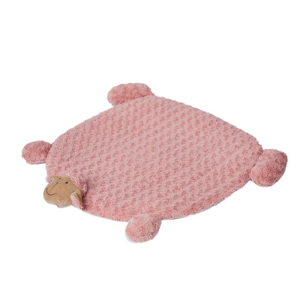 Pet Cushion