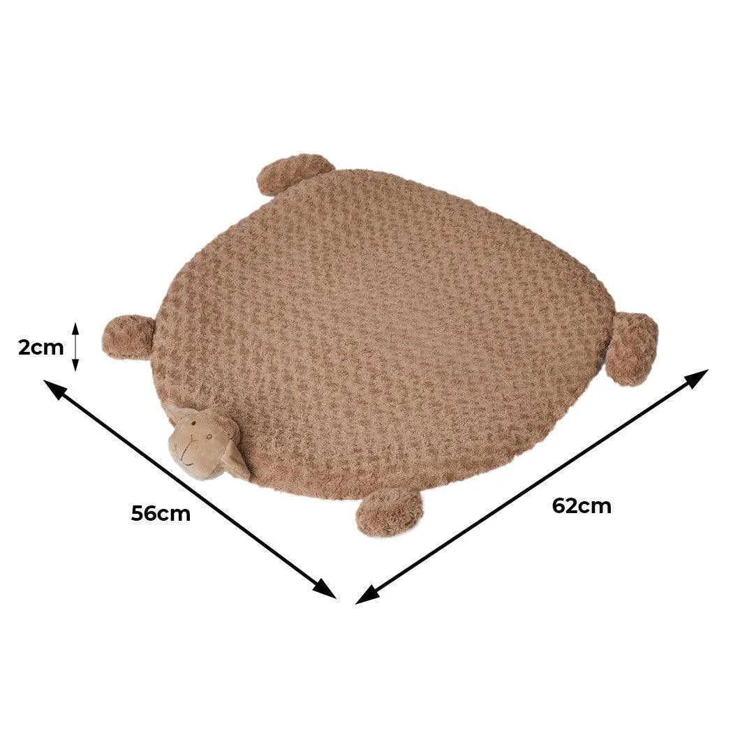 Pet Cushion