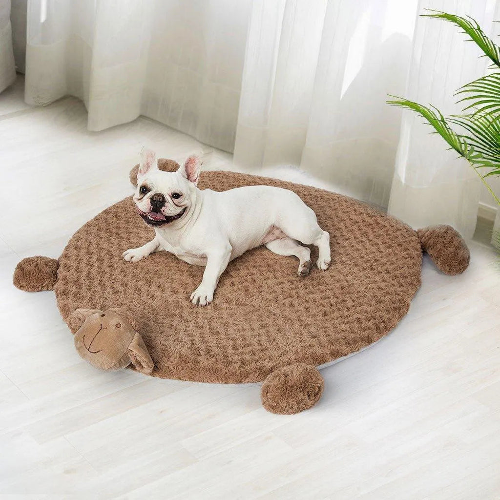 Pet Cushion