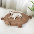 Pet Cushion