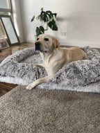 Pet Orthopaedic Bed
