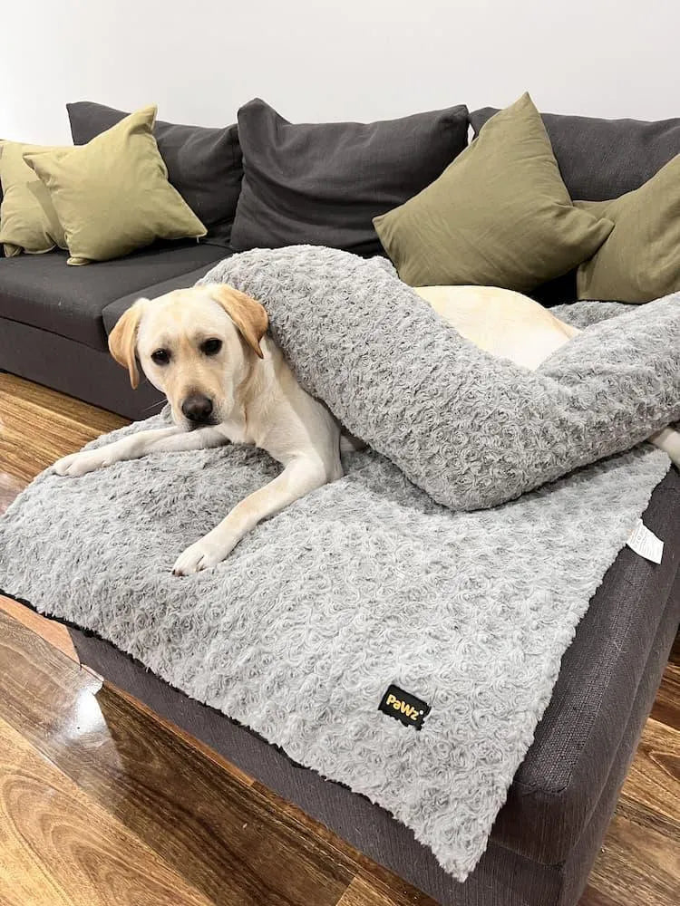 Pet Sofa Cover