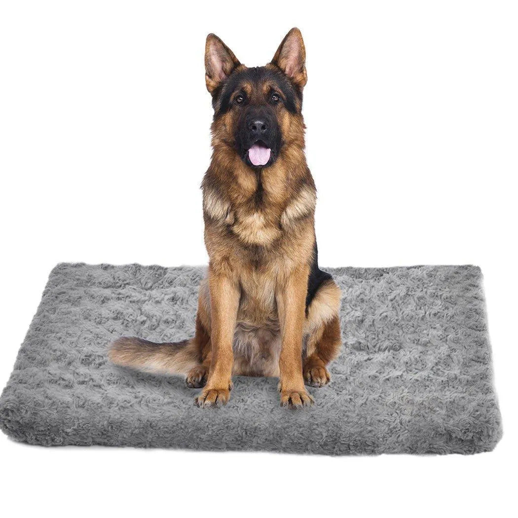 Pet Soft Warm Matt