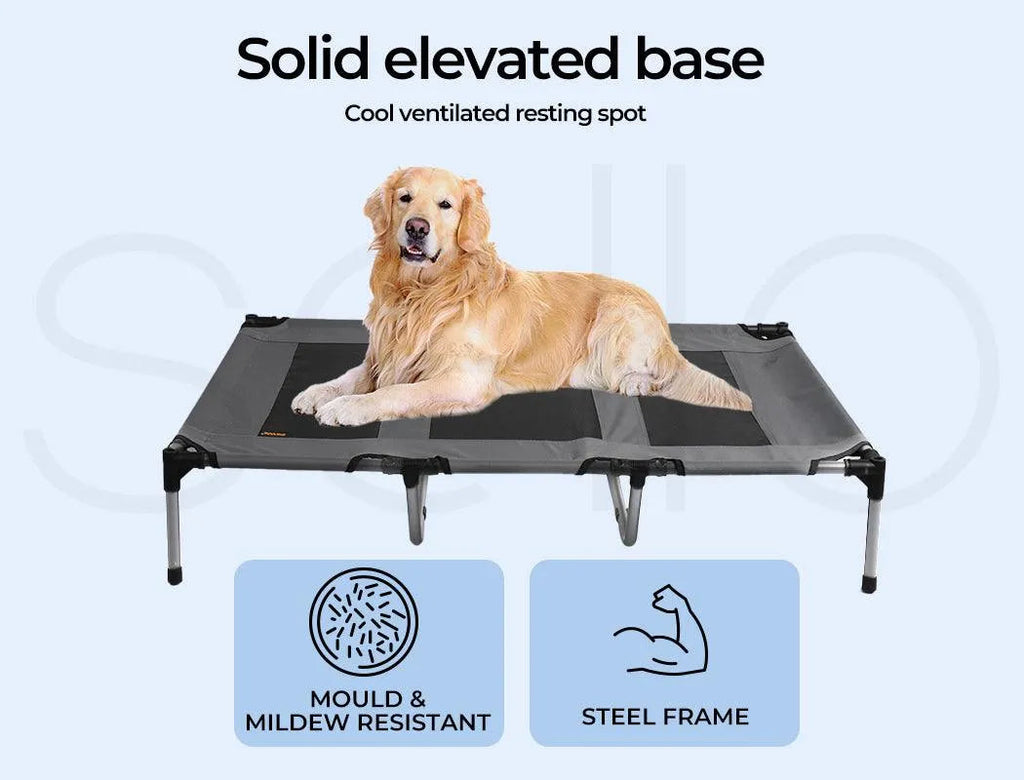 Dog Outdoor Trampoline With Raised Canopy