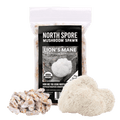 Organic Lion's Mane Mushroom Plug Spawn