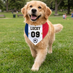 Paws For The Cup - Personalized Pet Bandana