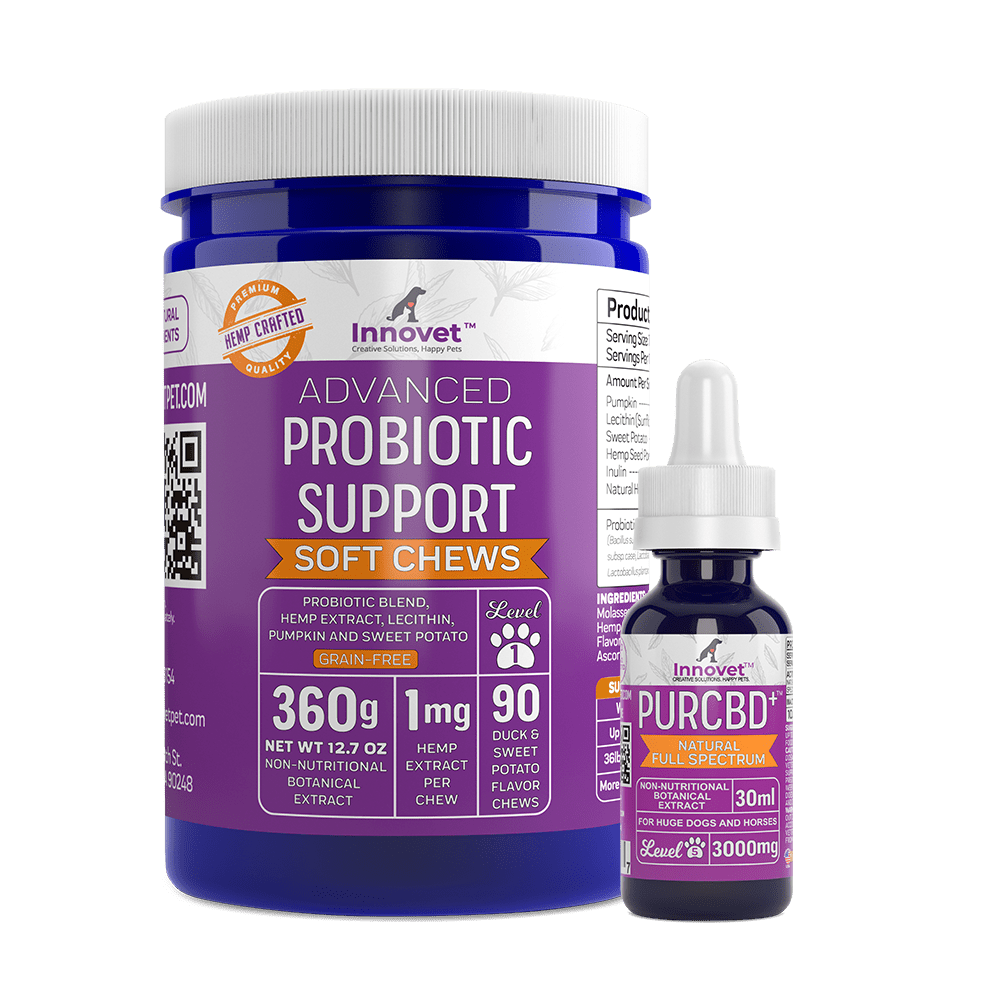 Probiotic Healthy Gut Bundle