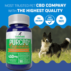 Hemp CBD Capsules for Dogs