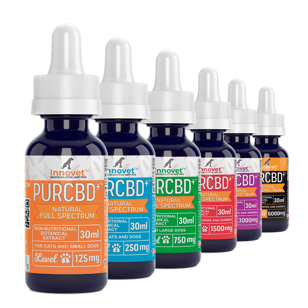 CBD Oil for Dogs