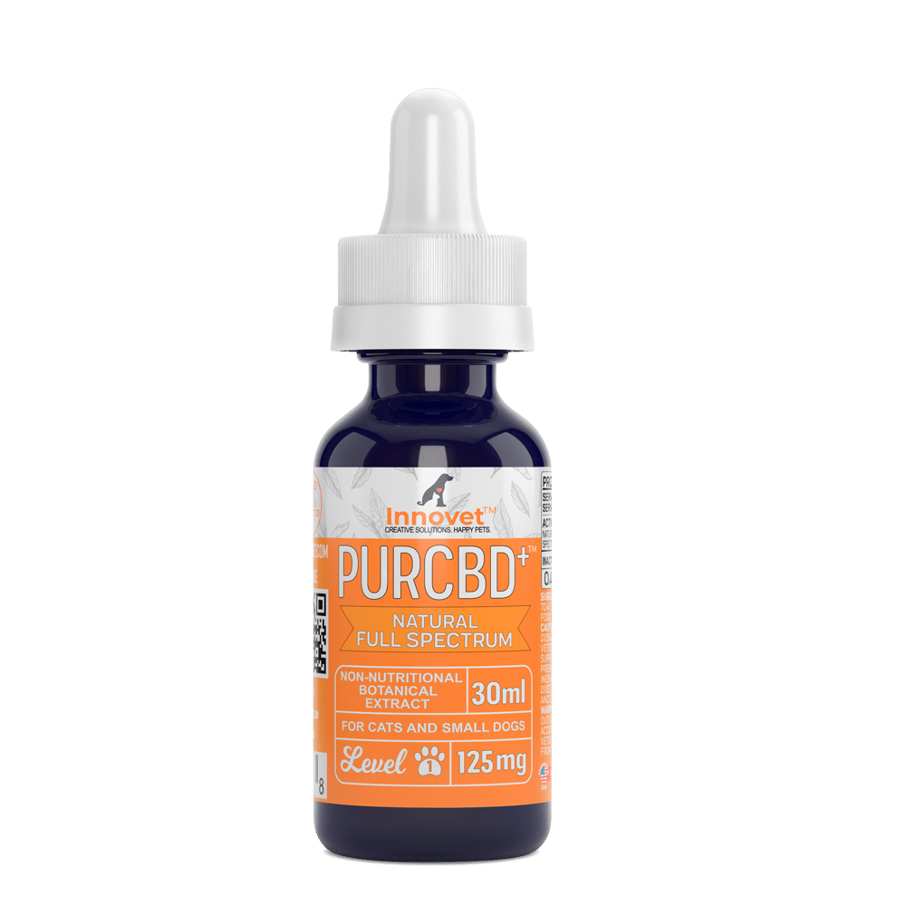 CBD Oil for Dogs
