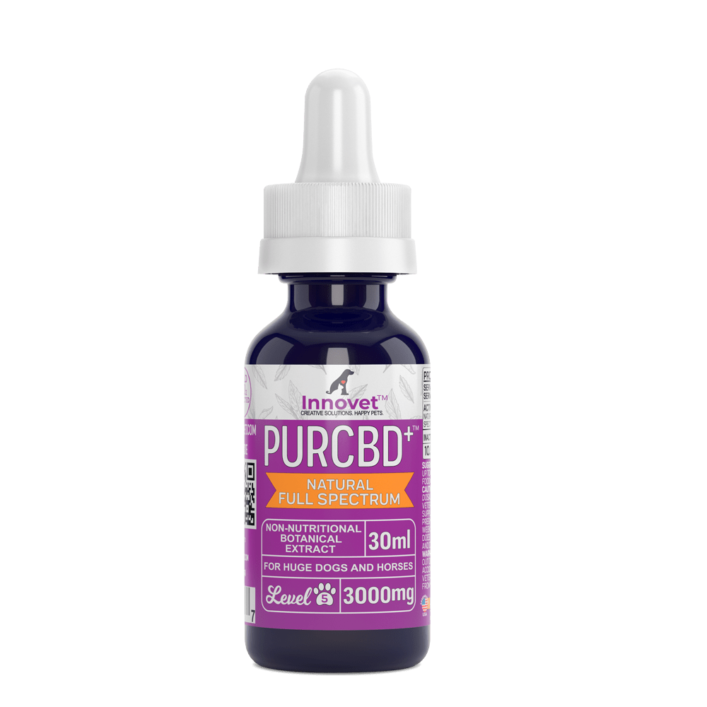 CBD Oil for Dogs